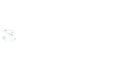 discoverycanva.png